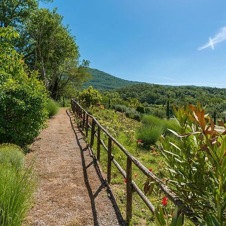 Borgo Fastelli - House In Historical Borgo In Tuscany - Sambuco Sarteano Exteriér fotografie